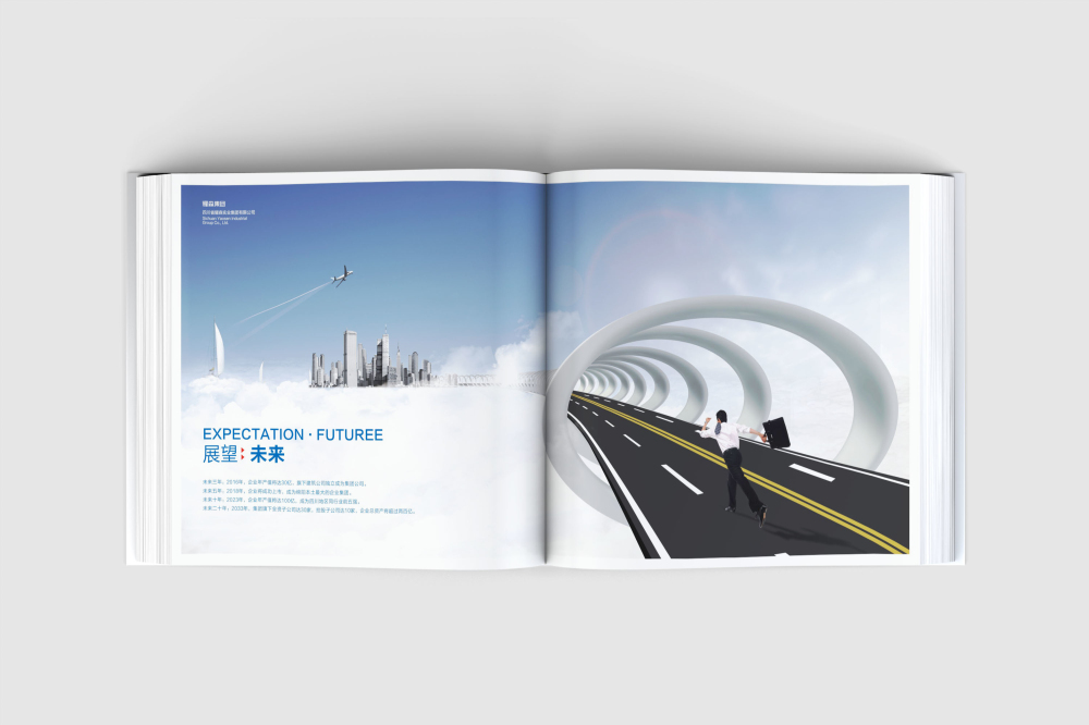 凤城市画册设计